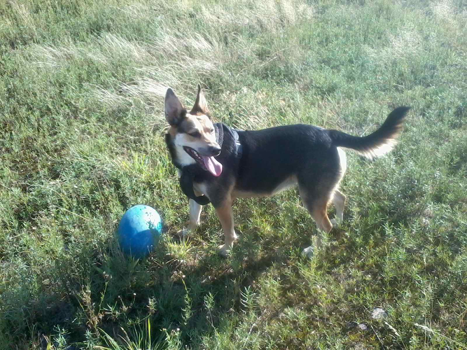 2012-09-19 16.29.07.jpg